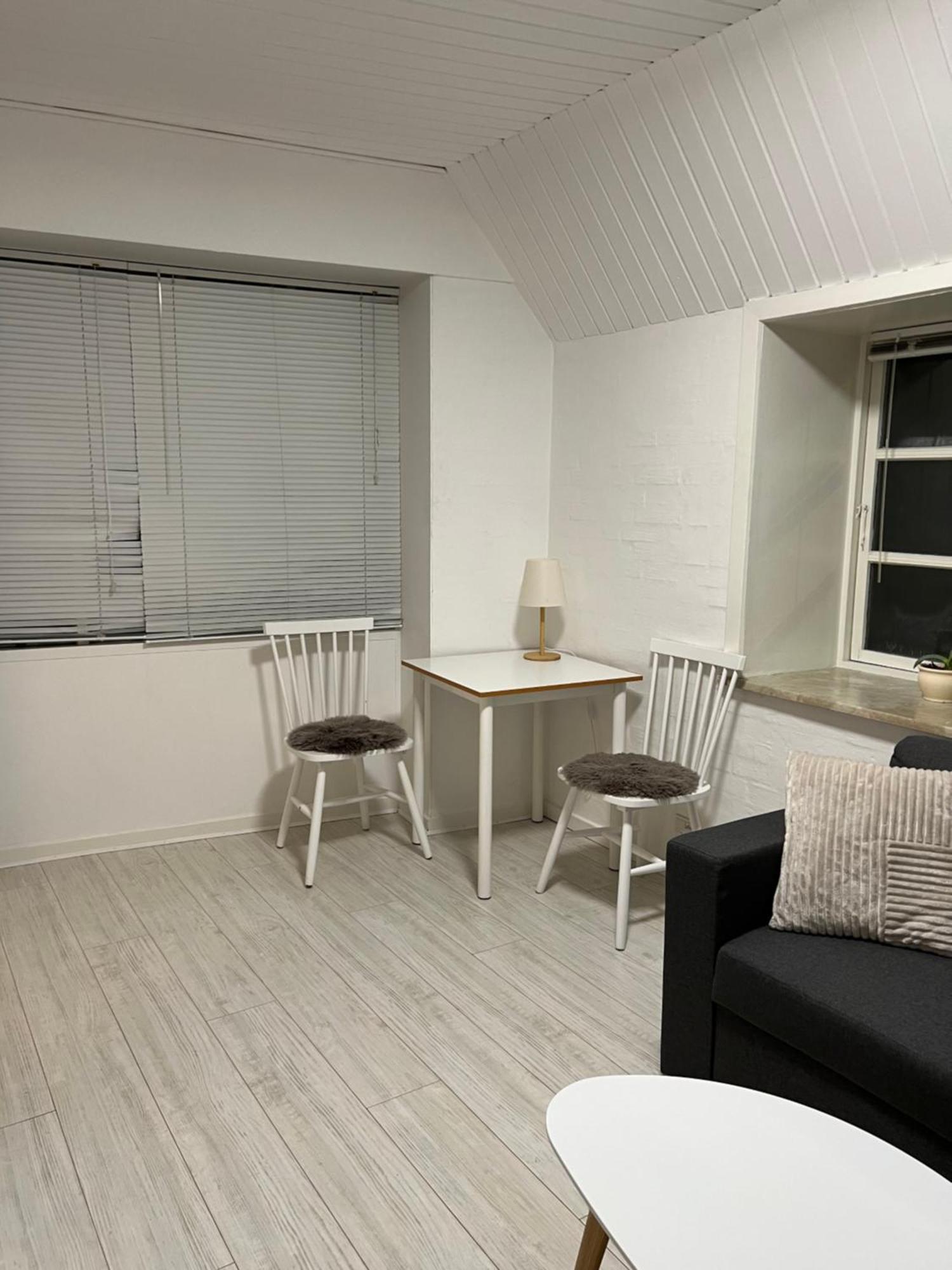 Apartment With Wifi, Close To City Center, Beach And Forrest Aabenraa Luaran gambar